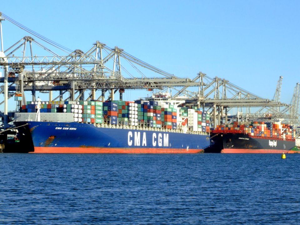 CMA CGM Norma & TsingTao Express, Port of Rotterdam, Holland, 06JAN2009 pic2