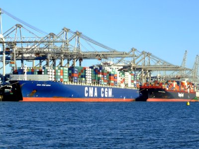 CMA CGM Norma & TsingTao Express, Port of Rotterdam, Holland, 06JAN2009 pic2