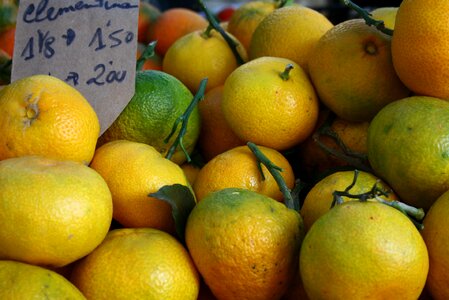 Yellow orange citrus