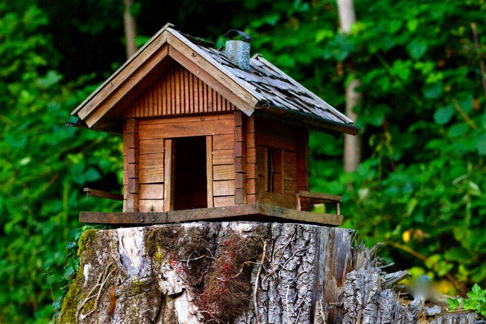 Model cottage natural produce