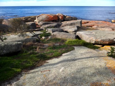 Coast at Bicheno Tasmania 20190725-019