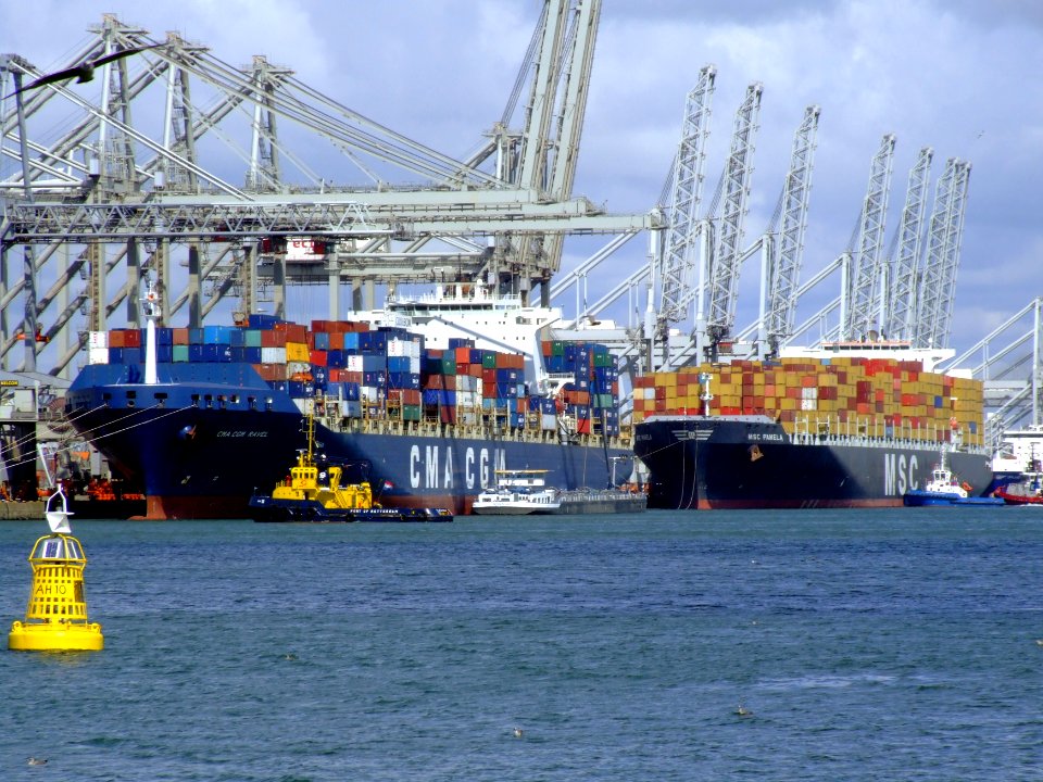 CMA CGM Ravel IMO 9221839 & MSC Pamela IMO 9290531, at the Amazone harbour, Port of Rotterdam, Holland 29-Jul-2007