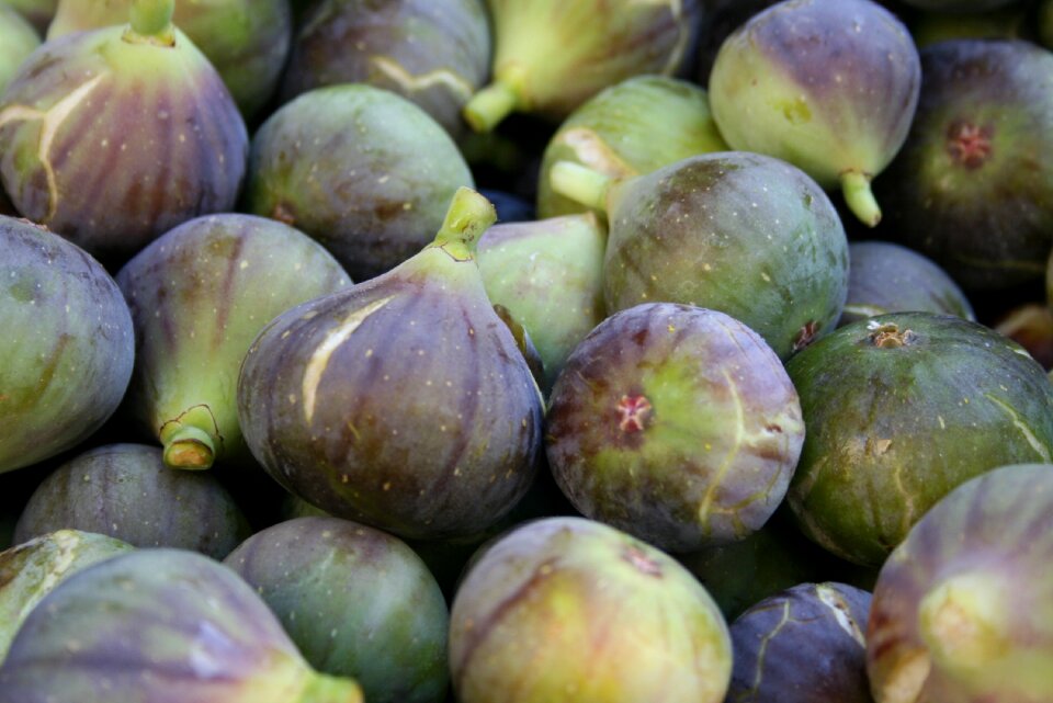 Healthy farmers market purple