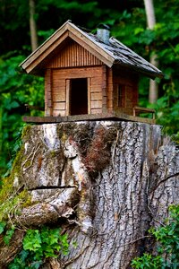 Model cottage natural produce