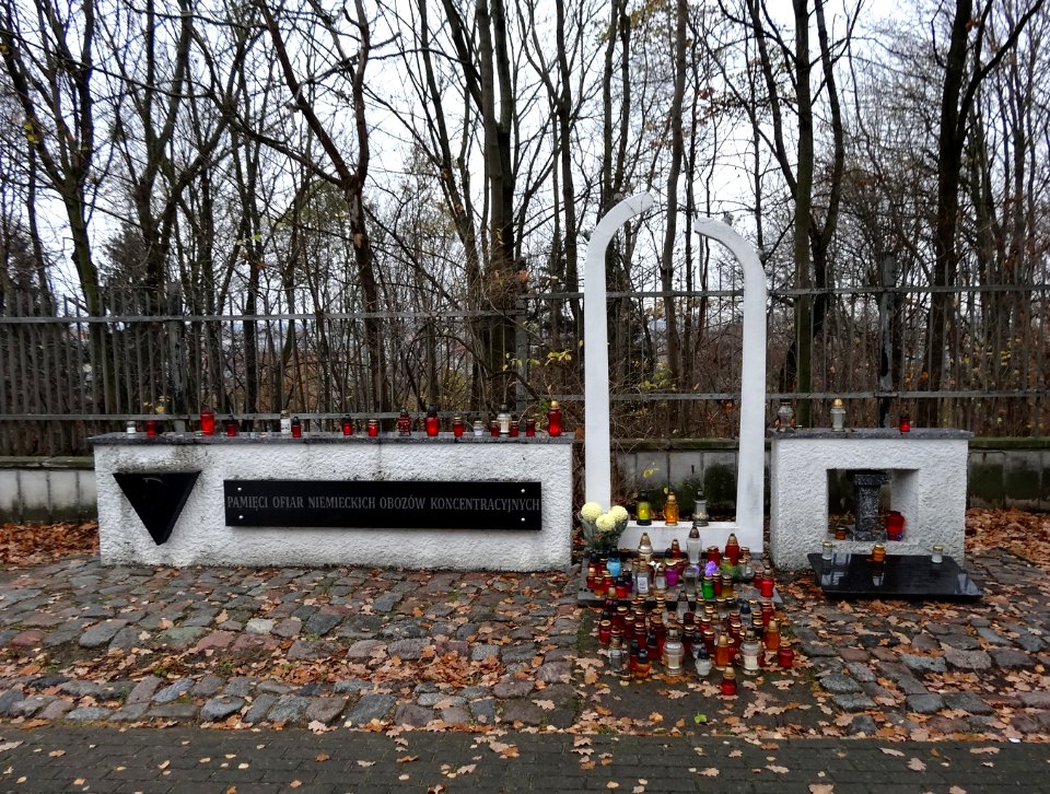 CmBohaterowBydgoszczy 7 11-2013