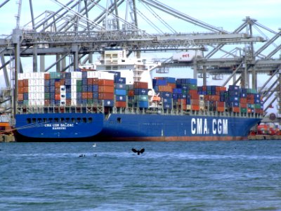 CMA CGM Balzac pic4, at the Amazone harbour, Port of Rotterdam, Holland 14-Jul-2007