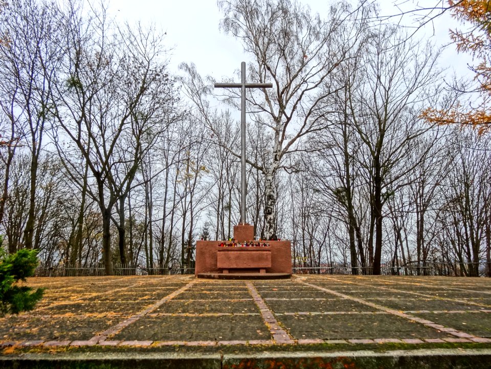 CmBohaterowBydgoszczy 4 11-2013