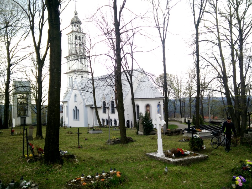 Cmentarz przykościelny płoki 