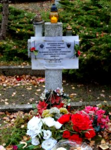 CmBohaterowBydgoszczy 6 11-2013