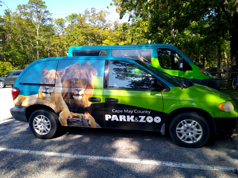 CMC Zoo Dodge minivan A