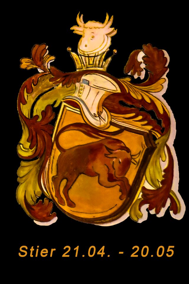 Signs of the zodiac symbol new age