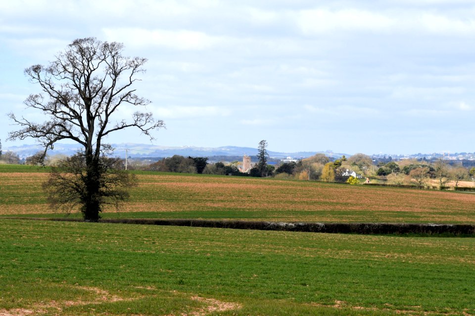 Clyst St George 2020-03-29 (1)