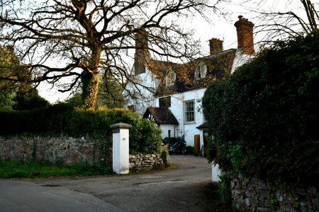 Clyst St George 2020-04-08 (10)