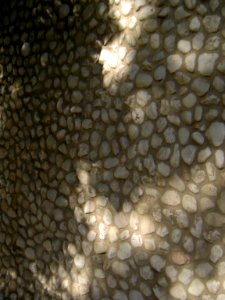 Cobblestoned wall of a house - Takhti st - Nishapur 1