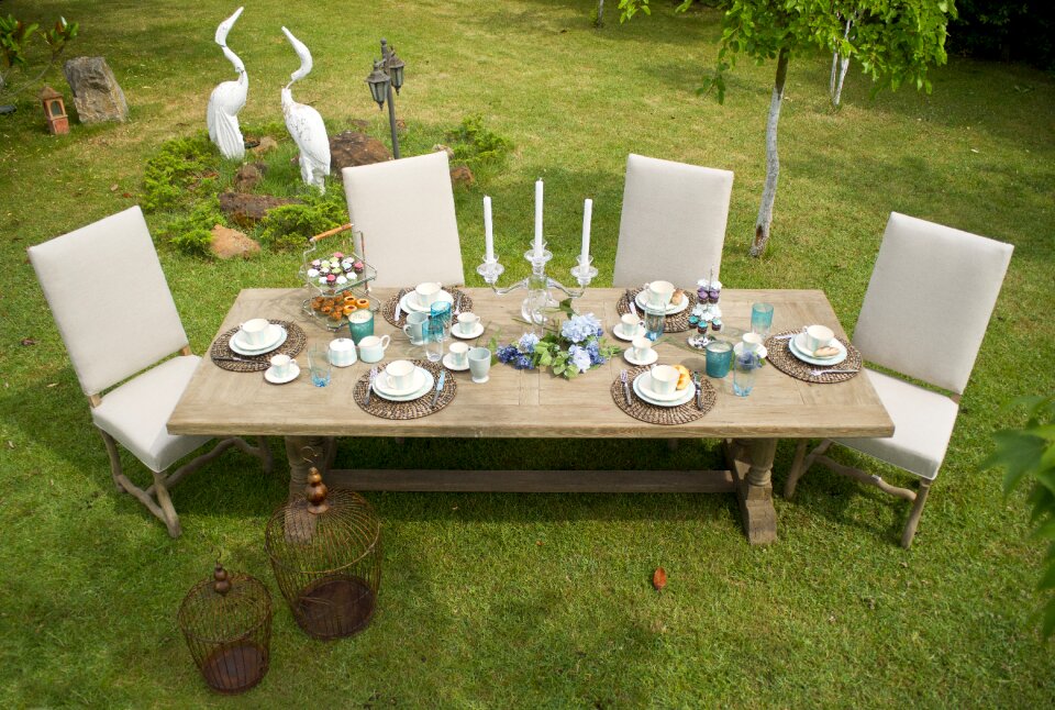 Garden summer background