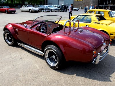 Cobra pic2