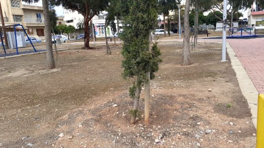 City park omonias limassol 3
