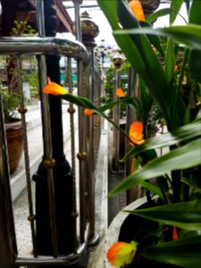 City pillar, Mae Sai - 2017-07-03 (002)