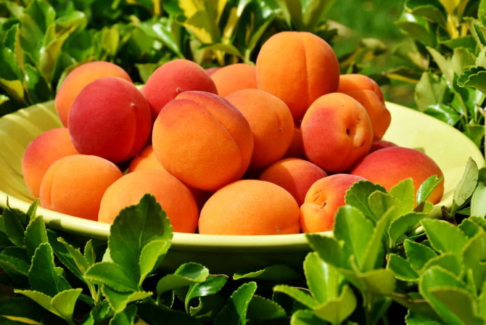Fruits sweet healthy