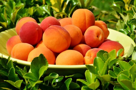 Fruits sweet healthy