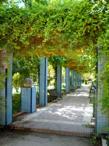 Ciudad Real - Parque Gasset 11