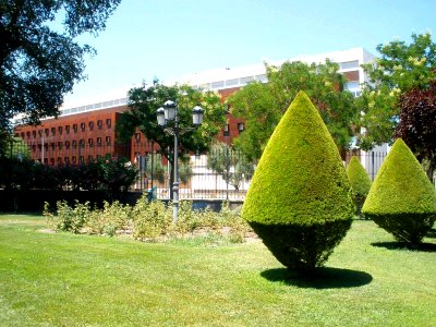 Ciudad Real - Parque Gasset 18