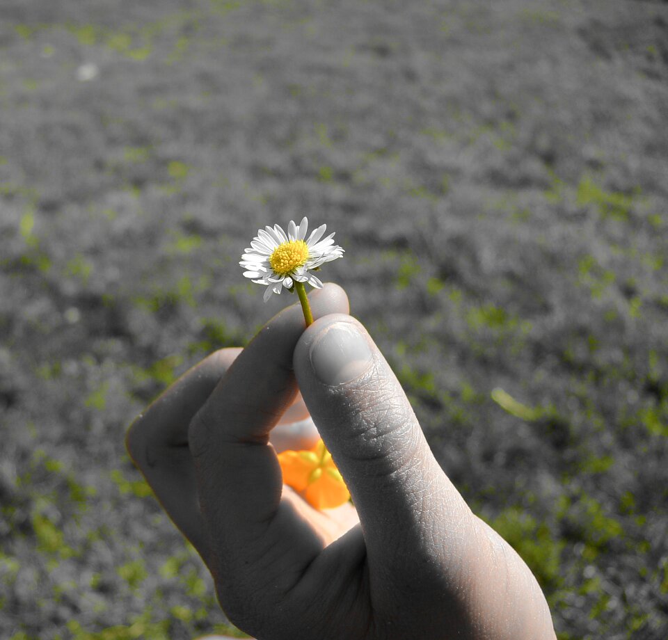 Plant nature hand