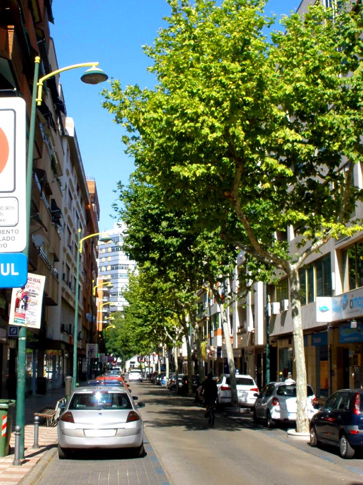 Ciudad Real - Calles 02