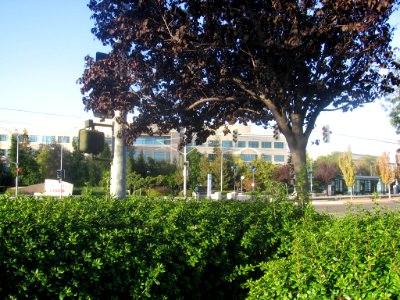 Cisco Way VTA 2157 01