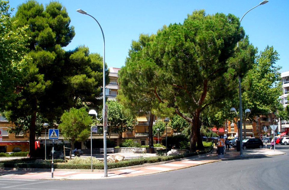 Ciudad Real - Parques y jardines 03