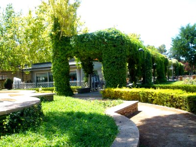 Ciudad Real - Parque Gasset 14