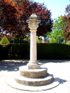 Ciudad Real - Parque Gasset 17