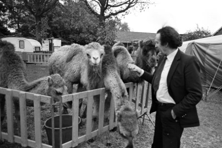 Circus Toni Boltini heeft in Laren allerlaatste voorstelling gegeven, einde van , Bestanddeelnr 931-1123