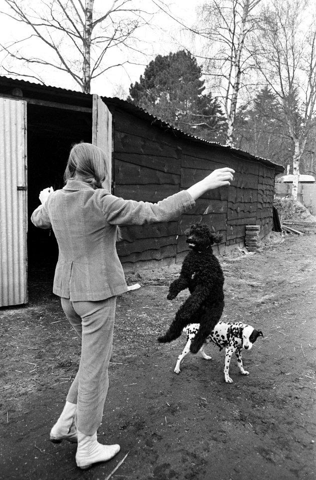 Circus Toni Boltini , Antoinette Boltini met haar hondjes, Bestanddeelnr 920-0317