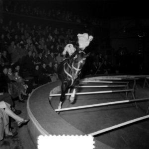 Circus Strassburger te Amsterdam, Bestanddeelnr 904-8889