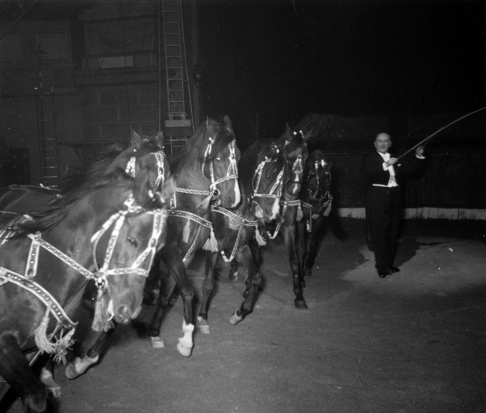 Circus Strassburger te Amsterdam, Bestanddeelnr 904-8888