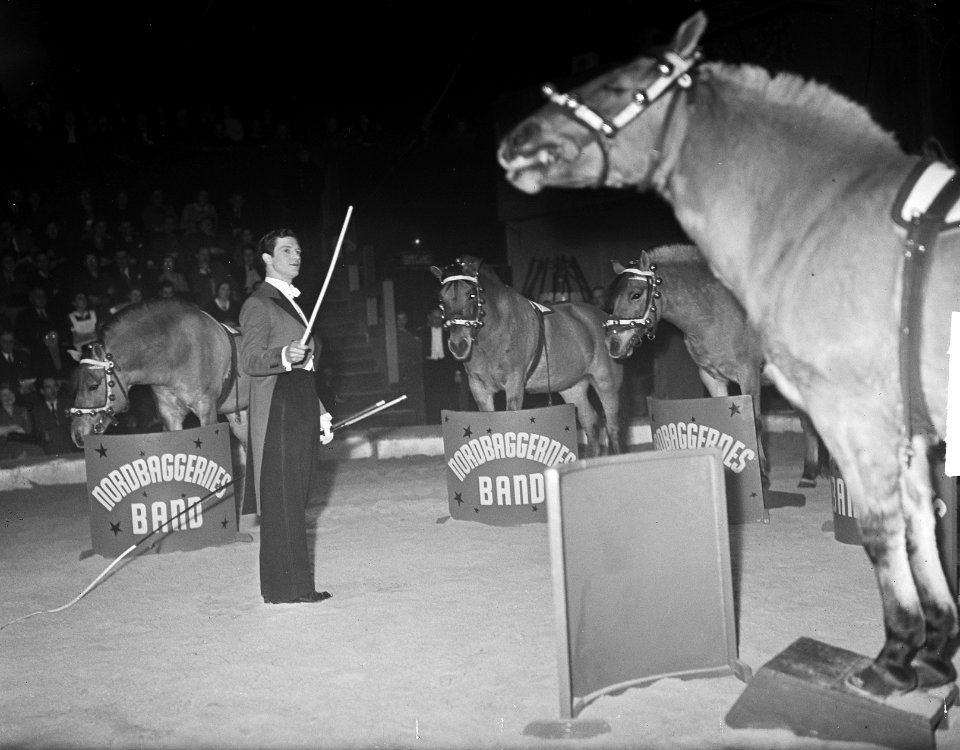 Circus Strassburger in Carré te Amsterdam. Paardendressuur, Bestanddeelnr 903-7592