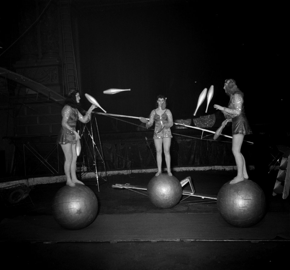 Circus Strassburger diverse opnamen, Bestanddeelnr 904-9391