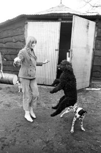 Circus Toni Boltini , Antoinette Boltini met haar hondjes, Bestanddeelnr 920-0316