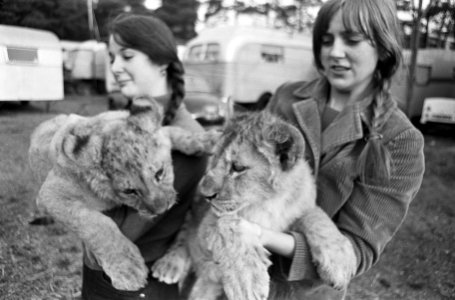 Circus Toni Boltini , Antoinette Boltini en Jose Hendriks met twee jonge leeuwtj, Bestanddeelnr 920-0314