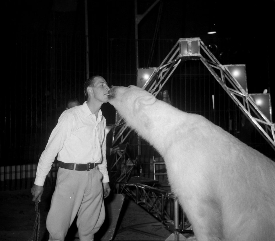Circus Mikkenie in Turnhout Belgie. Jean Michon met de ijsberen van Erie Klant, Bestanddeelnr 904-6917