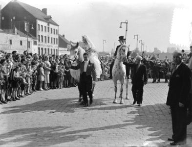 Circus-huwelijk te Maastricht, José Mullens werd de vrouw van Henry Strassburger, Bestanddeelnr 905-0564