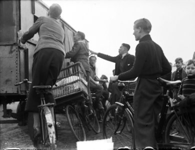 Circus Mullens in Amsterdam, Bestanddeelnr 904-2573