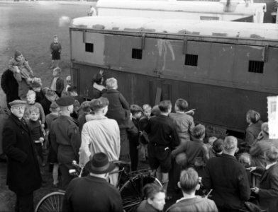 Circus Mullens in Amsterdam, Bestanddeelnr 904-2576