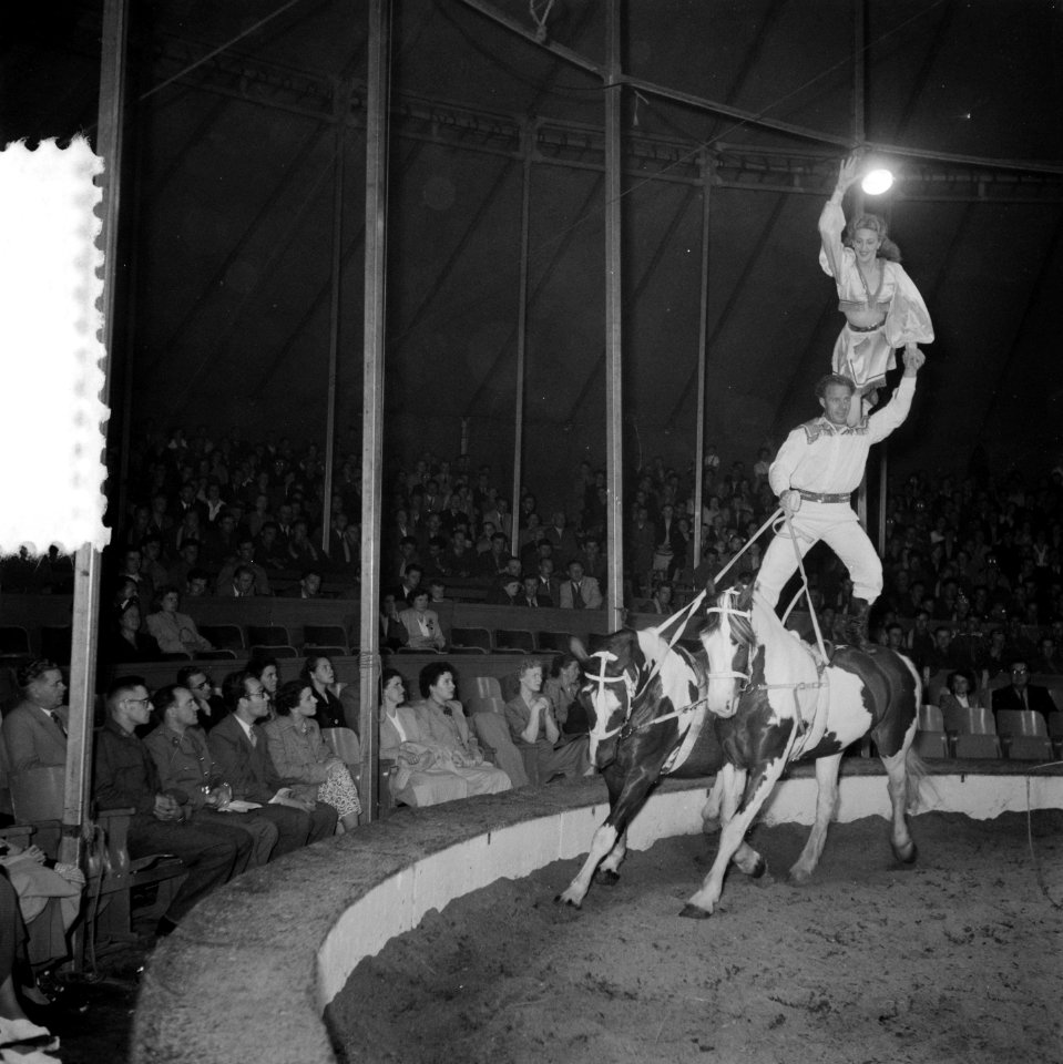 Circus Mikkenie in Turnhout Belgie, Bestanddeelnr 904-6941