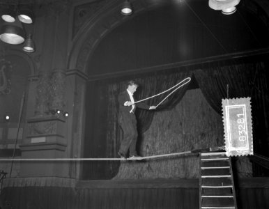 Circusplaatjes Carre, Bestanddeelnr 908-3281