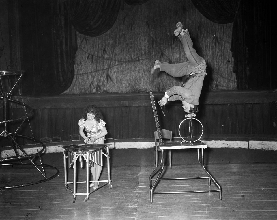 Circusplaatjes Carre, Bestanddeelnr 908-3286