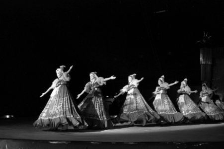 Circusdanseressen in actie, Bestanddeelnr 919-7489