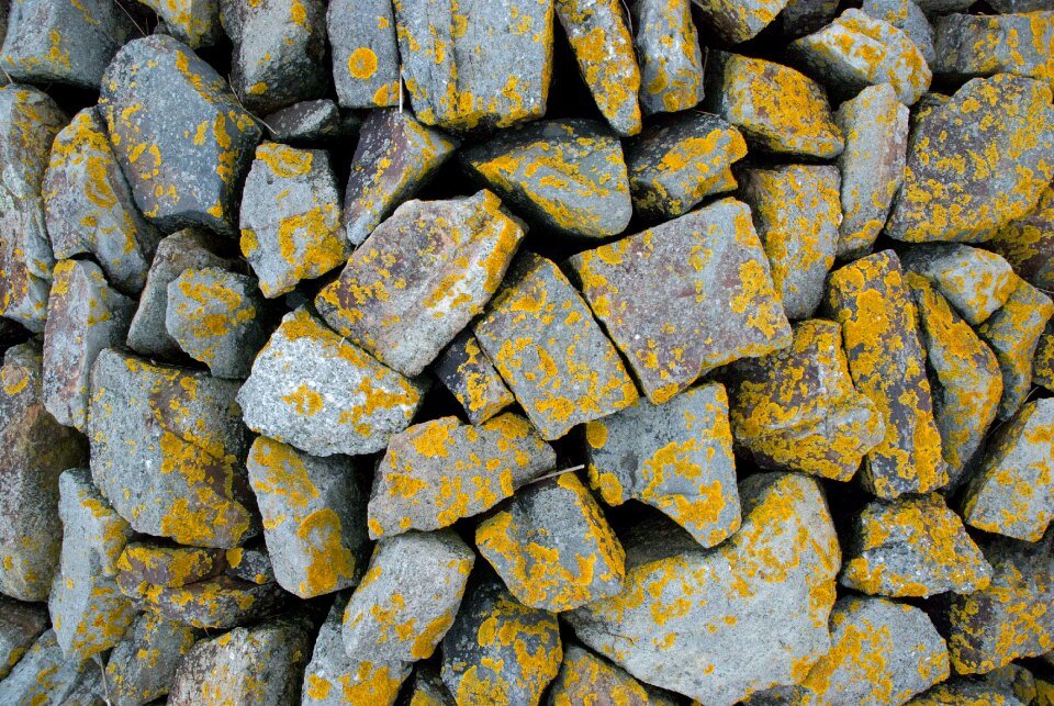 Yellow green fouling background