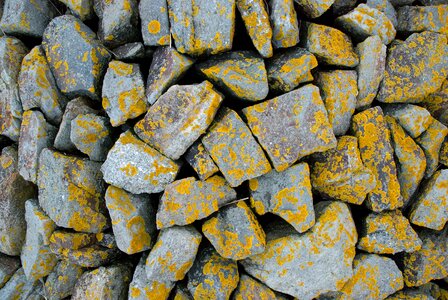 Yellow green fouling background